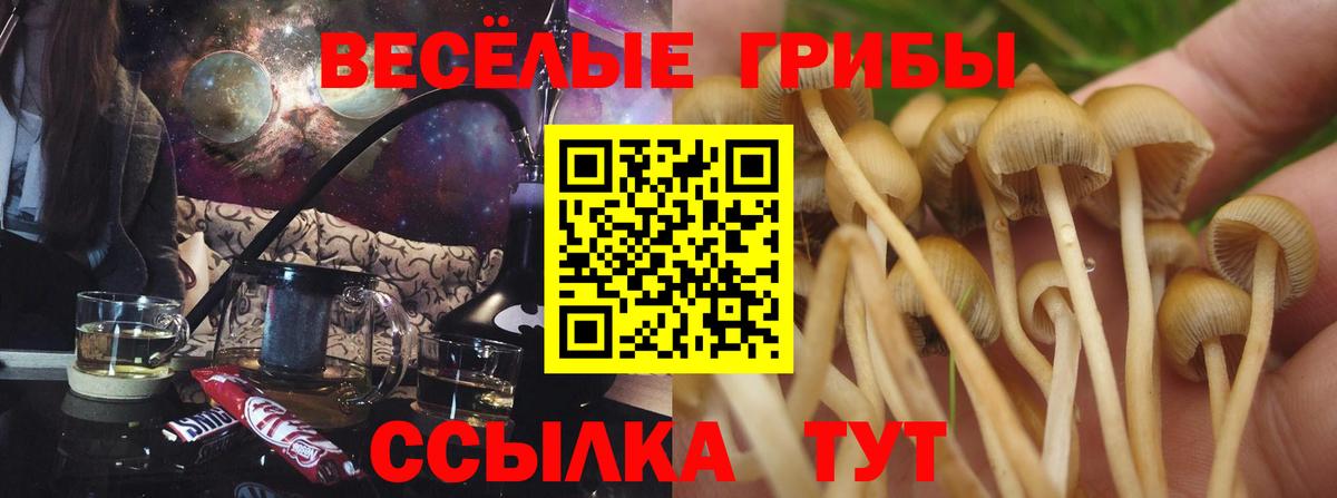 Донецк  Псилоцибиновые грибы мицелий  Вход с VPN 