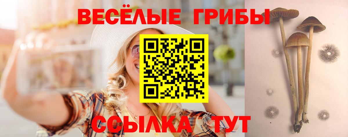 Галлюциногенные грибы прущие грибы Донецк